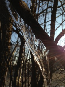 icicle-and-sun.jpg